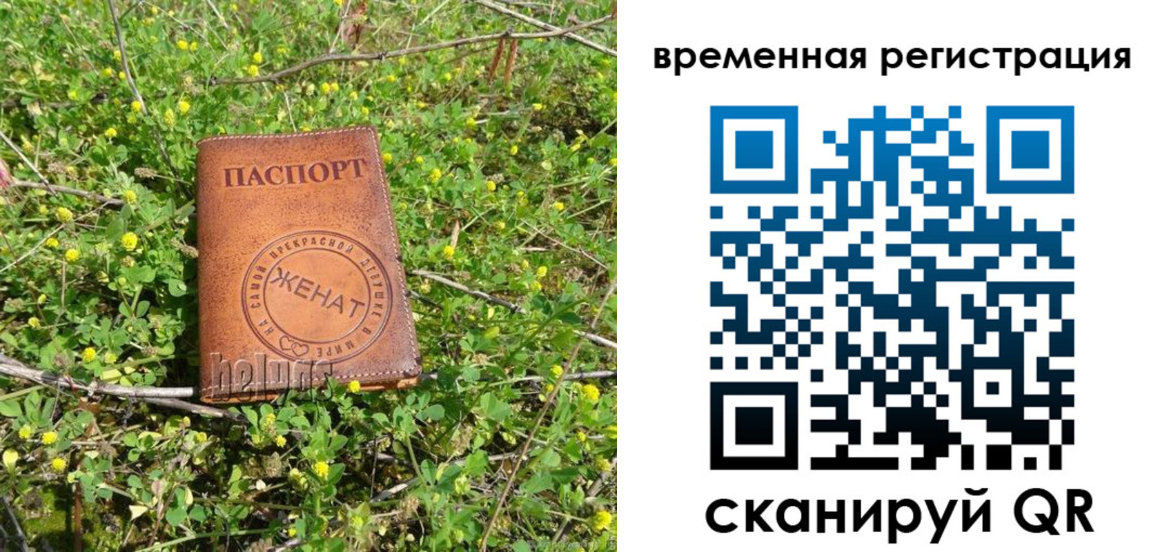 прописка регистрация в Шагонаре